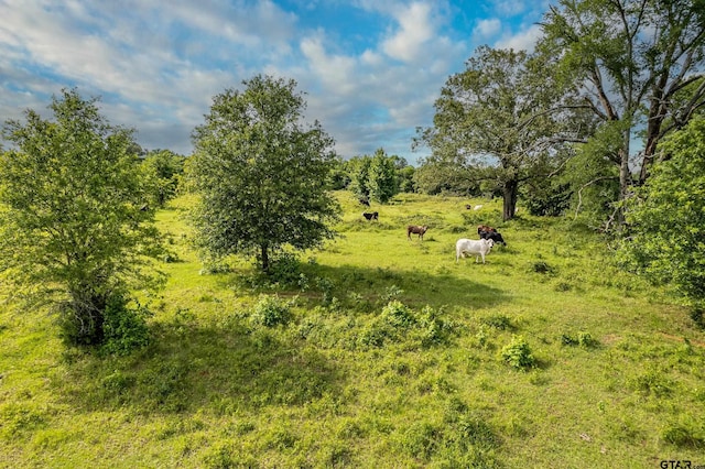 2400 Fm 856 N, Troup, TX 75789