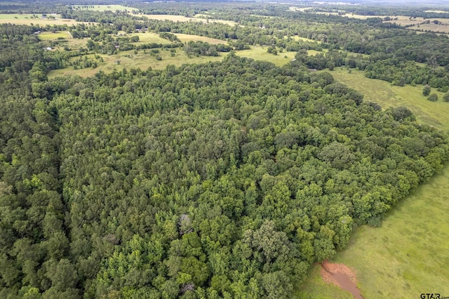 2400 Fm 856 N, Troup, TX 75789