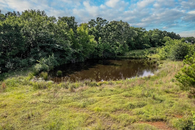 2400 Fm 856 N, Troup, TX 75789