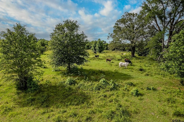 2400 Fm 856 N, Troup, TX 75789