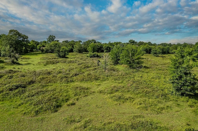 2400 Fm 856 N, Troup, TX 75789