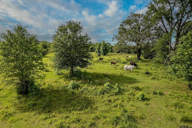 2400 Fm 856 N, Troup, TX 75789