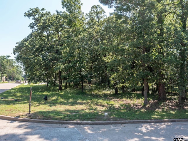 160 S Eagles Bluff Blvd, Bullard, TX 75757 - photo 9