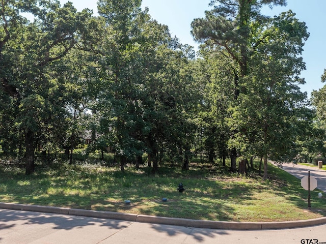 160 S Eagles Bluff Blvd, Bullard, TX 75757 - photo 8