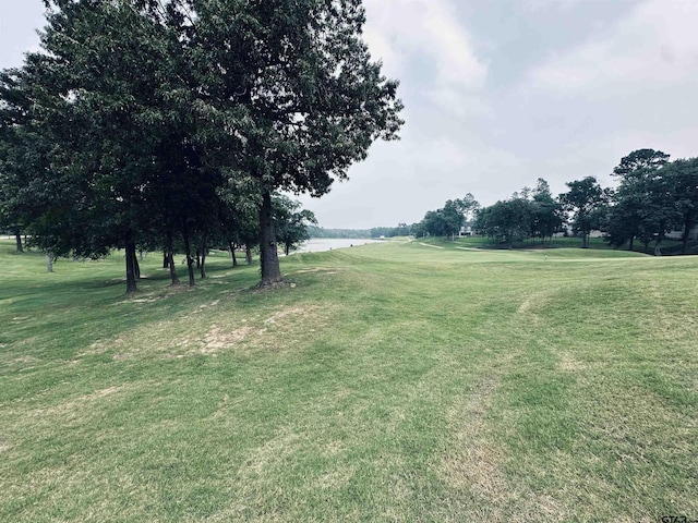 160 S Eagles Bluff Blvd, Bullard, TX 75757 - photo 22