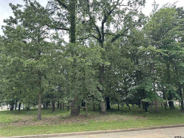 160 S Eagles Bluff Blvd, Bullard, TX 75757 - photo 10