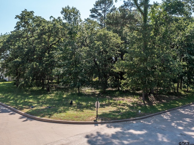 160 S Eagles Bluff Blvd, Bullard, TX 75757 - photo 4
