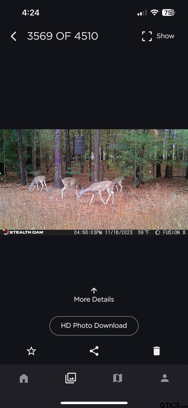 TRACT23 Juniper Rd, Big Sandy, TX 75755 - photo 6