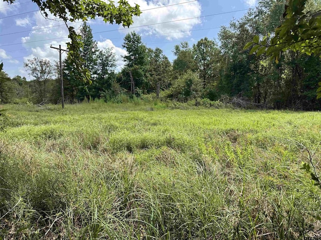 TRACT23 Juniper Rd, Big Sandy, TX 75755 - photo 2