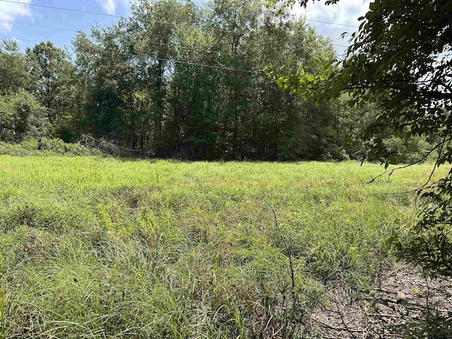 TRACT23 Juniper Rd, Big Sandy, TX 75755 - photo 3