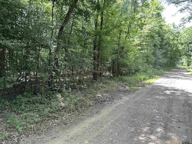TRACT23 Juniper Rd, Big Sandy, TX 75755 - photo 4