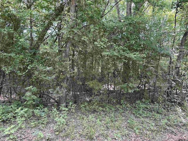 TRACT23 Juniper Rd, Big Sandy, TX 75755 - photo 5