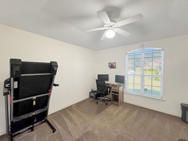 carpeted office space with a ceiling fan, baseboards, and a textured ceiling