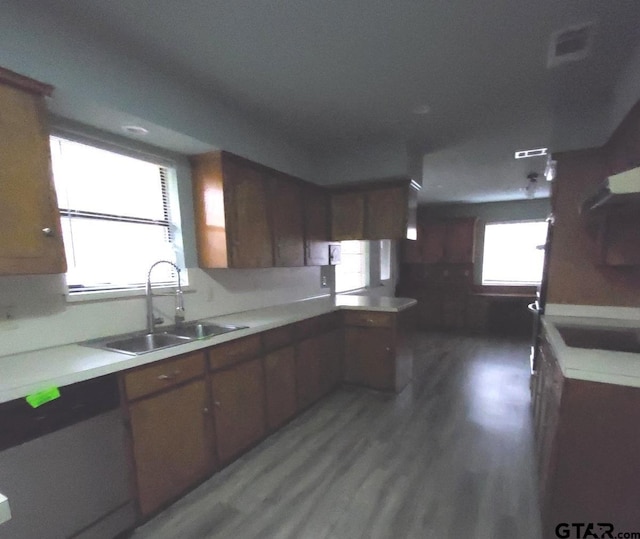 kitchen featuring dishwasher, sink, and dark hardwood / wood-style floors