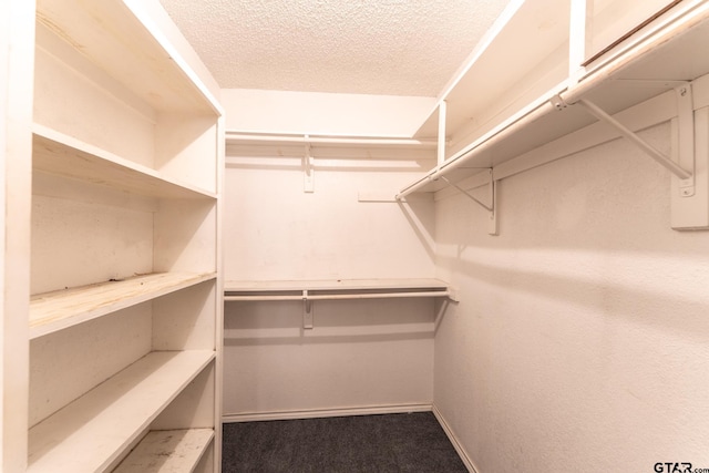 1881 Woodbridge Dr, Sulphur Springs, TX 75482 - walk in closet with dark carpet