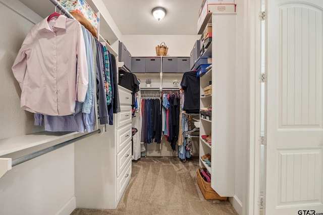 walk in closet featuring light colored carpet