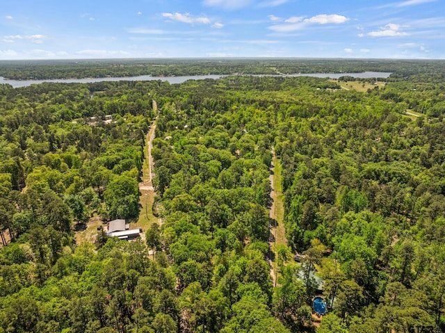 TBD N King Lake Rd, Scroggins, TX 75480 - photo 3