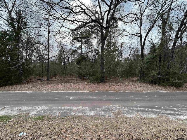 TBD N King Lake Rd, Scroggins, TX 75480 - photo 8