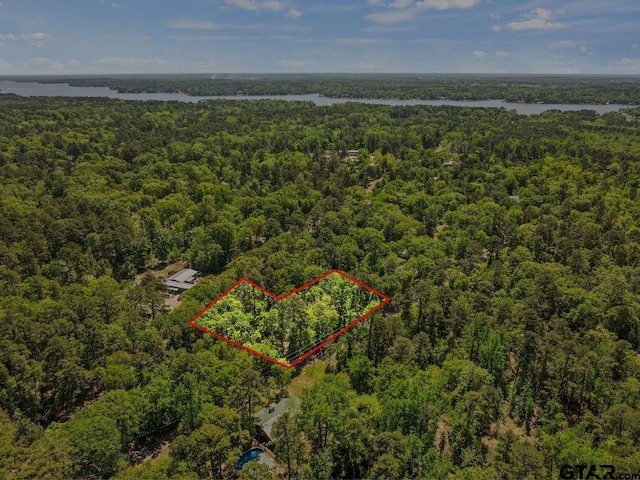 TBD N King Lake Rd, Scroggins, TX 75480 - photo 6