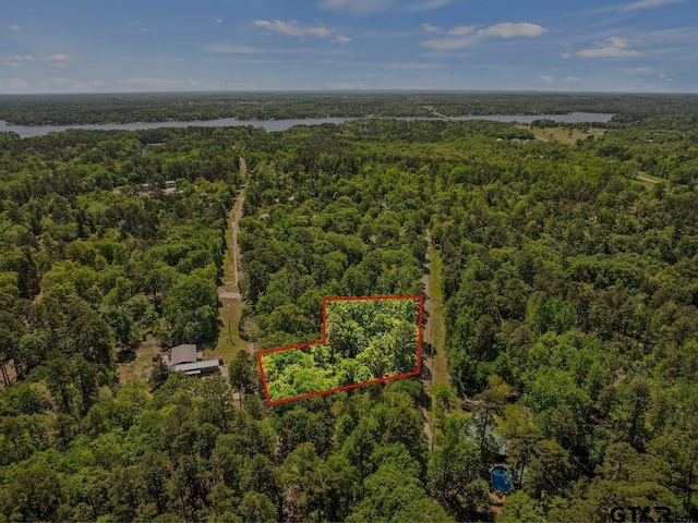TBD N King Lake Rd, Scroggins, TX 75480 - photo 5