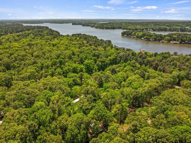 TBD N King Lake Rd, Scroggins, TX 75480 - photo 2