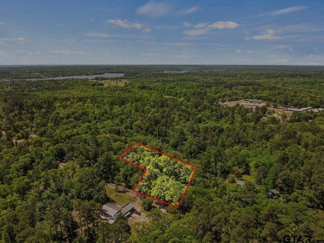 TBD N King Lake Rd, Scroggins, TX 75480 - photo 4