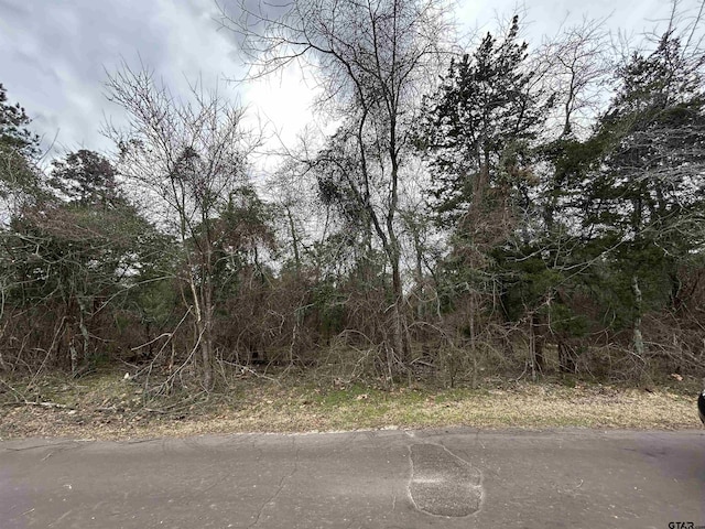 TBD N King Lake Rd, Scroggins, TX 75480 - photo 7