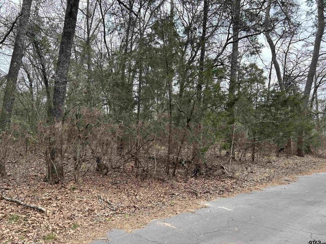 TBD N King Lake Rd, Scroggins, TX 75480 - photo 10