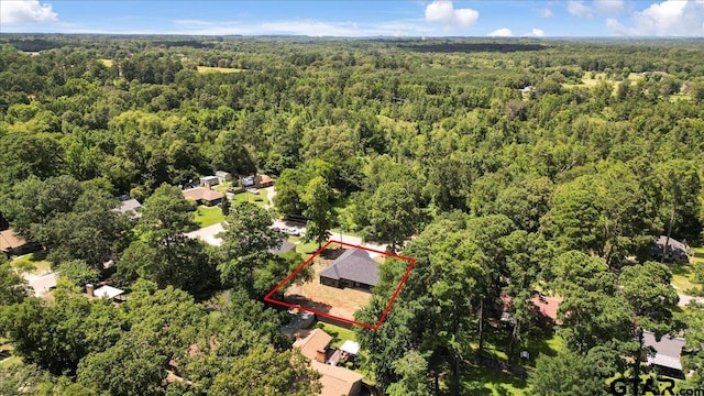 19081 Pinedale Cir, Flint, TX 75762