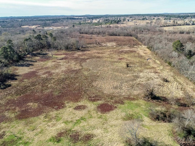 drone / aerial view featuring a rural view