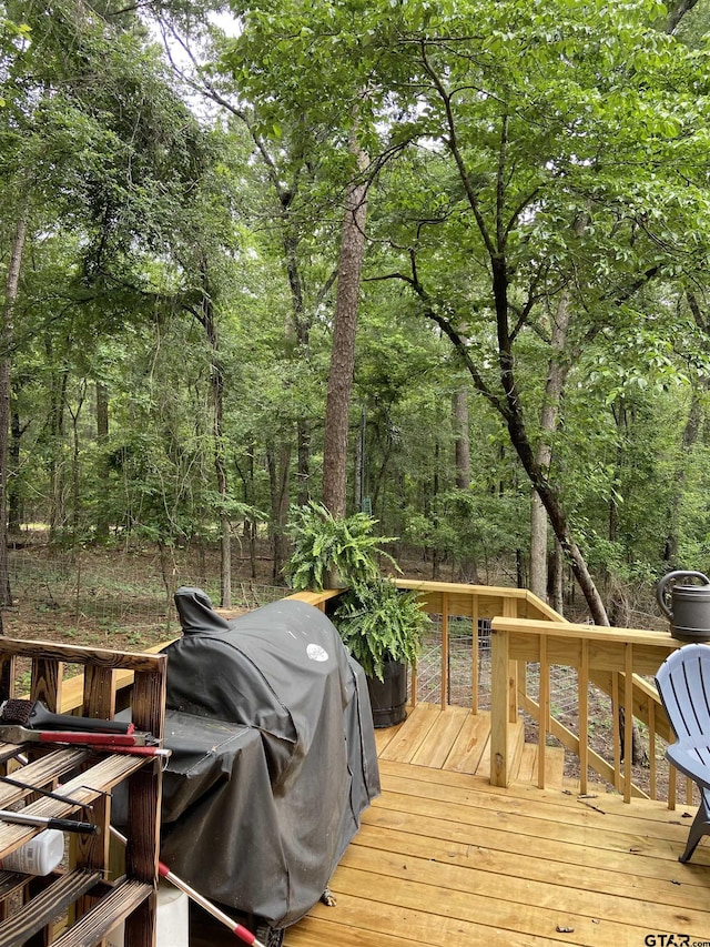 21544 Birch Pl, Tyler, TX 75705 - photo 12