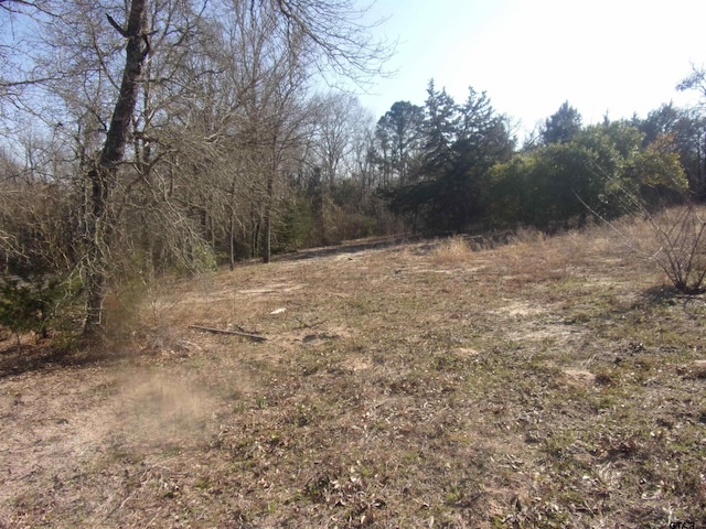 592 Maple Dr, Murchison TX, 75778 land for sale