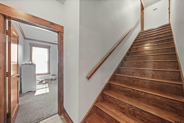 stairs with carpet floors and crown molding