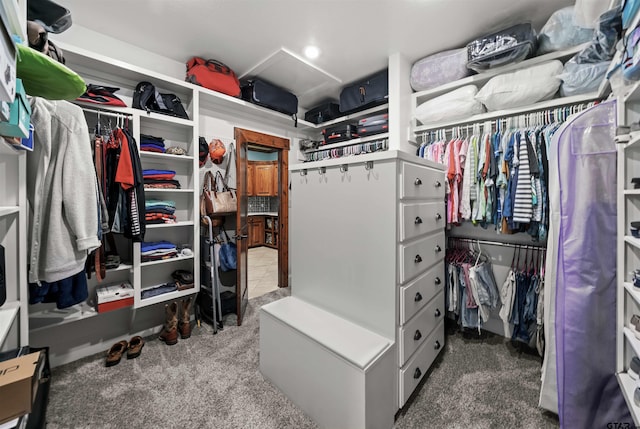 walk in closet featuring carpet