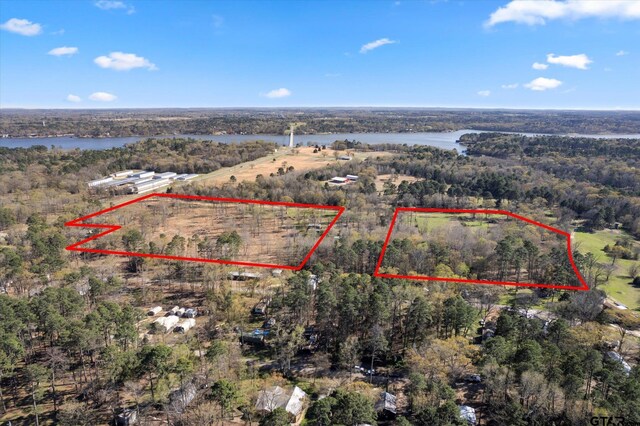 7050 Fm 115, Scroggins, TX 75480