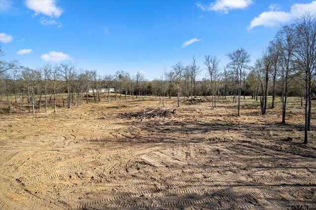 7050 Fm 115, Scroggins, TX 75480