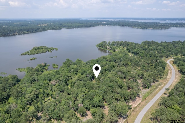 3186 Shadow Pine Dr, Larue TX, 75770 land for sale