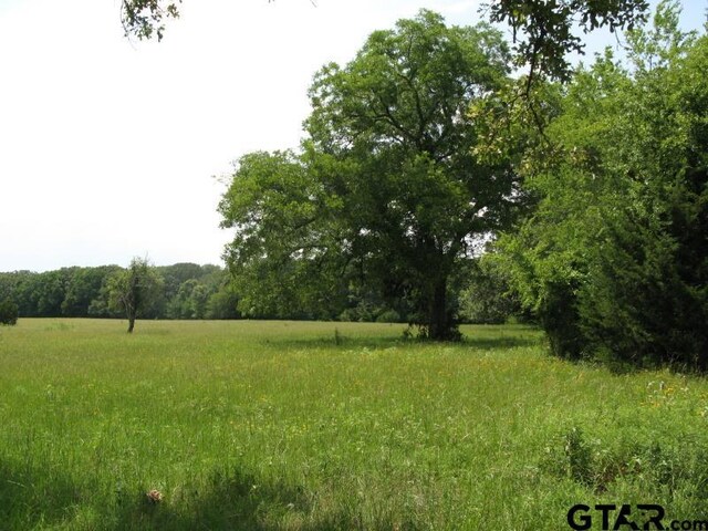 tobedetermine Vz County Rd 1111, Fruitvale, TX 75127 - photo 7
