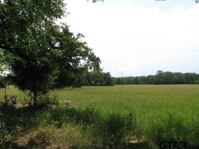 tobedetermine Vz County Rd 1111, Fruitvale, TX 75127 - photo 5
