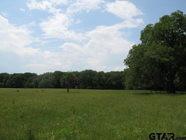 tobedetermine Vz County Rd 1111, Fruitvale, TX 75127 - photo 1