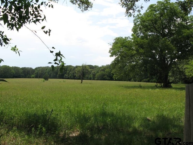 tobedetermine Vz County Rd 1111, Fruitvale, TX 75127 - photo 4