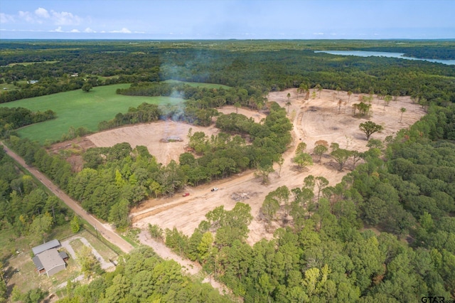 TRACT3-TBD County Road 4307, Larue, TX 75770
