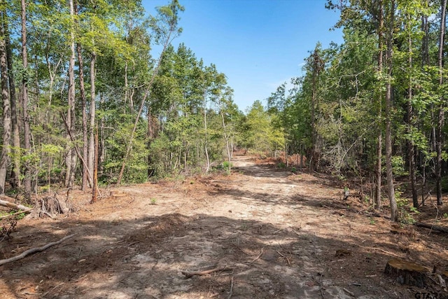 TRACT3-TBD County Road 4307, Larue, TX 75770