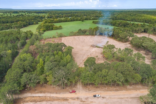 TRACT3-TBD County Road 4307, Larue, TX 75770