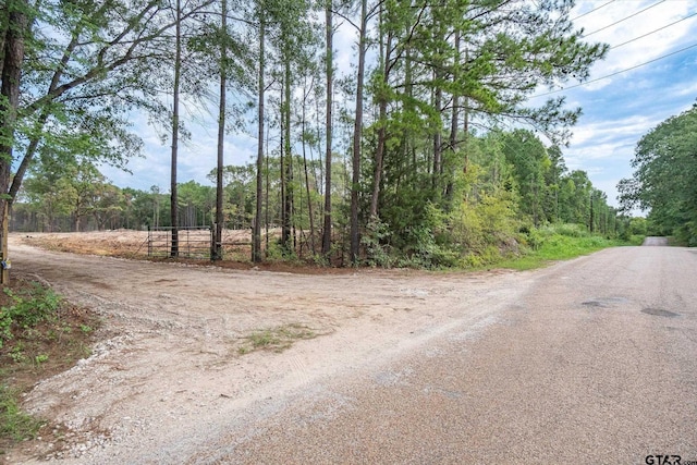 TRACT3-TBD County Road 4307, Larue, TX 75770