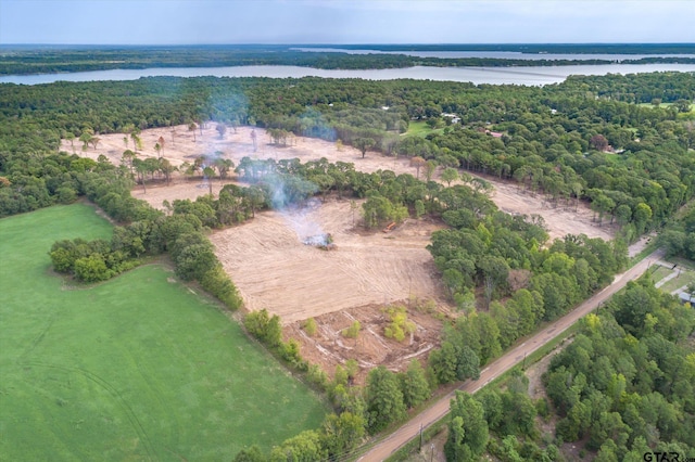 TRACT3-TBD County Road 4307, Larue, TX 75770