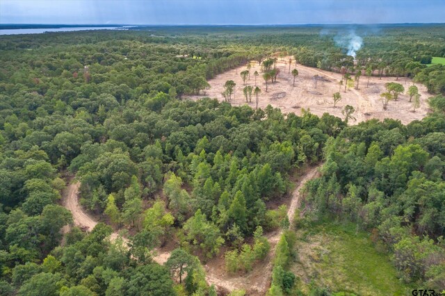 TRACT3-TBD County Road 4307, Larue, TX 75770