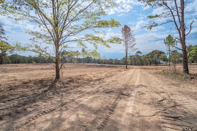 TRACT3-TBD County Road 4307, Larue, TX 75770