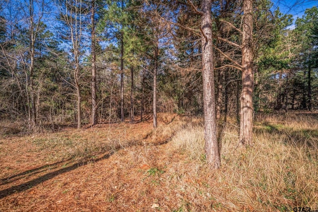 view of local wilderness