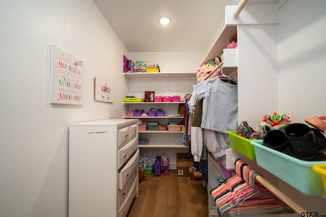 walk in closet with hardwood / wood-style floors